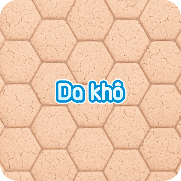Da khô